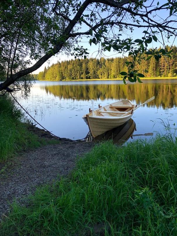 Tretopphytter Pa Grensen - Beverhytta Med Robat Og Gjeddefiske Halden Exterior foto